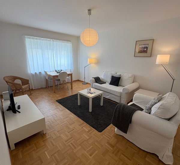 Lovely 1.5 room flat very near to Schützenmatt Park 1