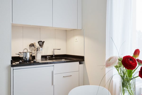 Lovely Studio across from Schützenmatt Park 3