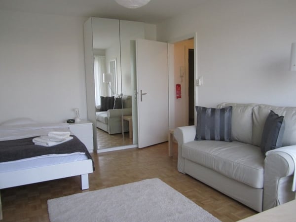 Lovely one room apartment near Spalentor 3