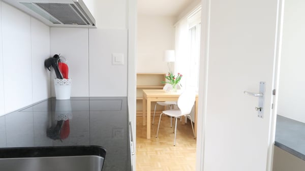 Lovely one room apartment near Spalentor 1