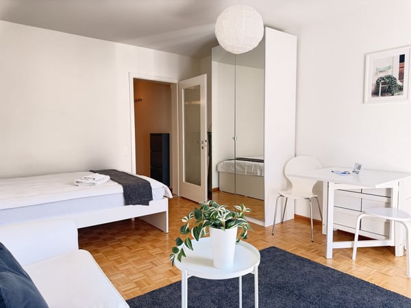 Light apartment within 2 minutes walk of Spalenberg 10
