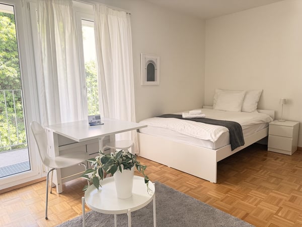 Light apartment within 2 minutes walk of Spalenberg 1