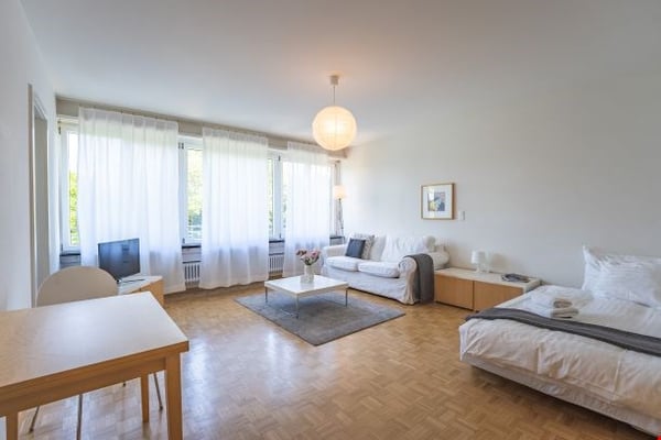Light quiet one room apartment in Gellert 1