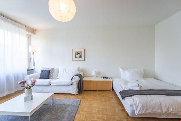 Light quiet one room apartment in Gellert 2