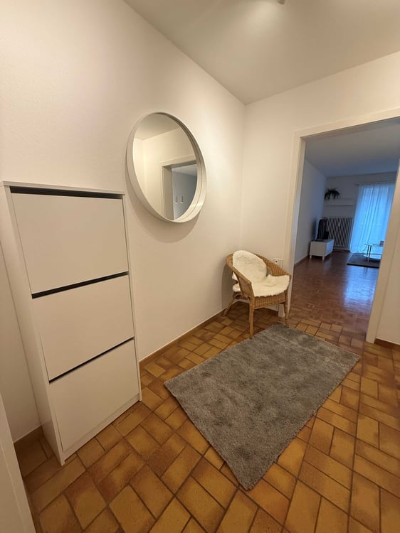 Charming 1-Room Furnished Apartment Near Basel University 4