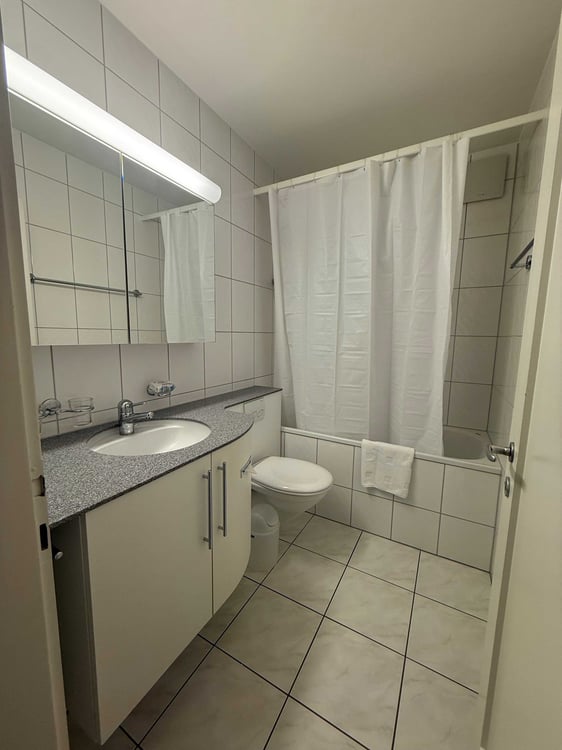 Charming 1-Room Furnished Apartment Near Basel University 8