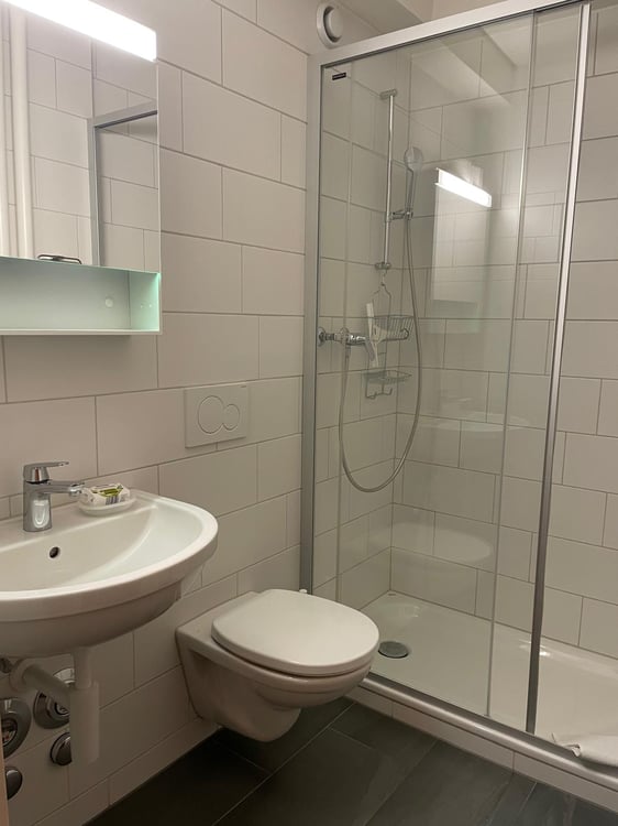 Newly renovated furnished apartments behind the SBB/Gundeldinger Area 9