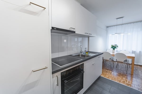 Newly renovated furnished apartments behind the SBB/Gundeldinger Area 5