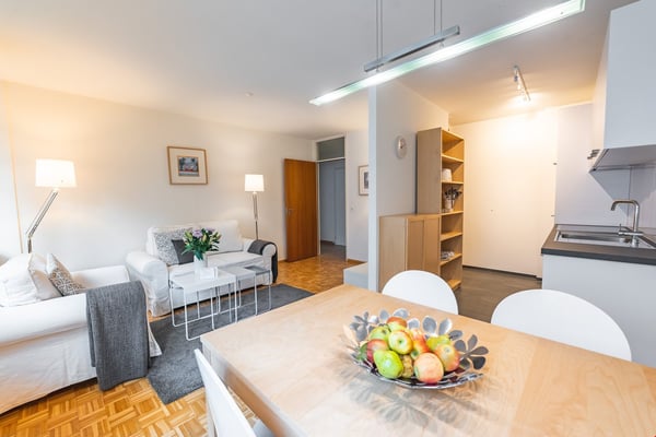 Newly renovated furnished apartments behind the SBB/Gundeldinger Area 3