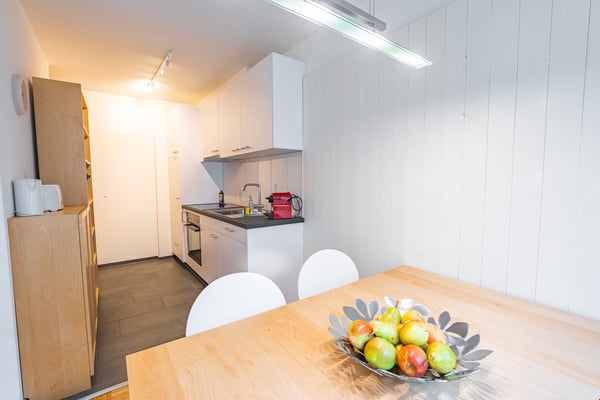 Newly renovated furnished apartments behind the SBB/Gundeldinger Area 2