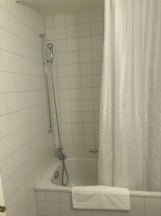 Lovely one bedroom near Spalentor 8