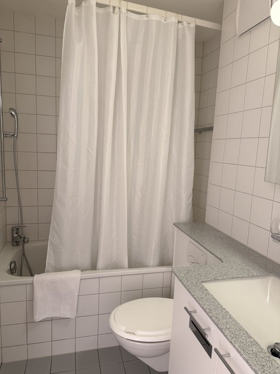 Lovely one bedroom near Spalentor 8