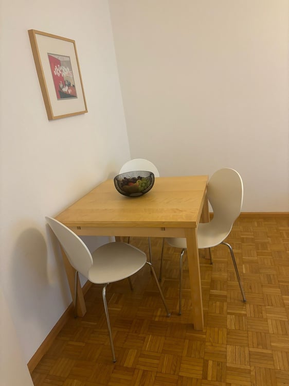 Lovely one bedroom near Spalentor 4