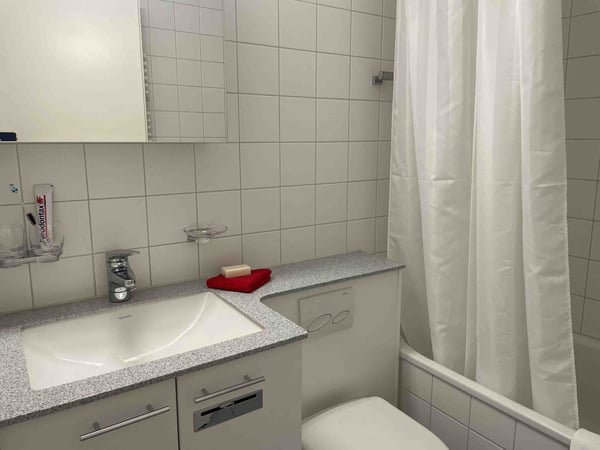 Lovely one bedroom near Spalentor 19