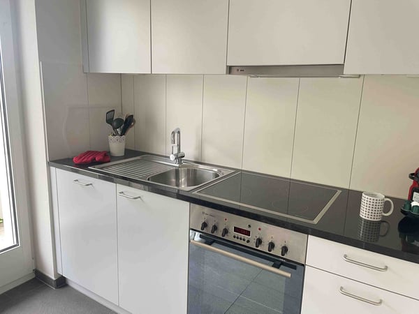 Lovely one bedroom near Spalentor 16