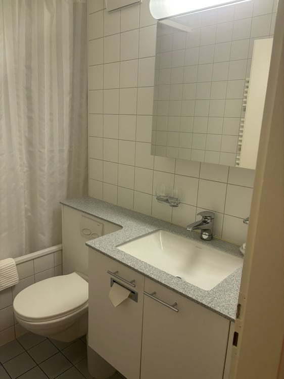 Lovely one bedroom near Spalentor 7