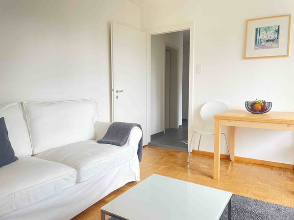 Lovely one bedroom near Spalentor 12