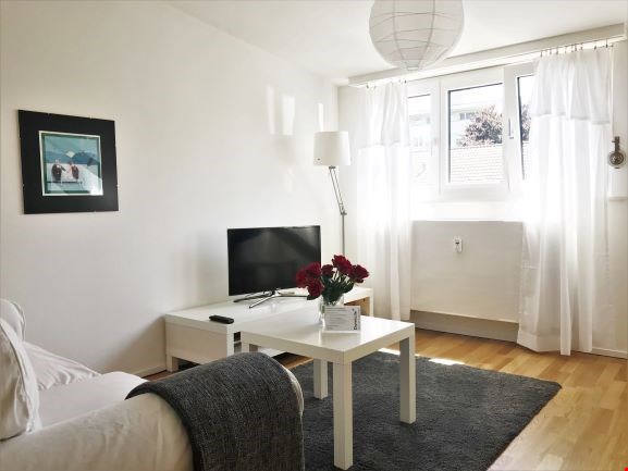 Light renovated very cosy two room apt, own washing facilities 3