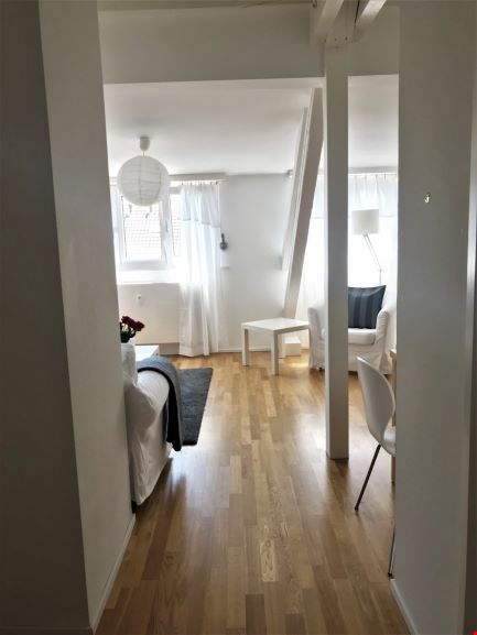 Light renovated very cosy two room apt, own washing facilities 4