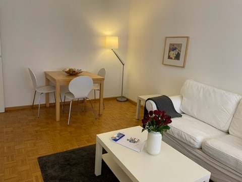 Lovely 1.5 room flat near to Schützenmatt Park 3