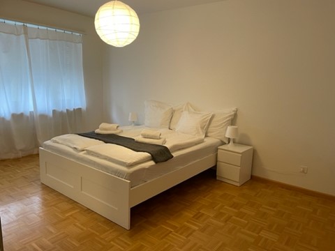 Lovely 1.5 room flat near to Schützenmatt Park 7