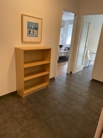 Lovely 1.5 room flat near to Schützenmatt Park 5
