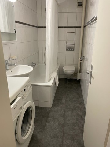 Lovely 1.5 room flat near to Schützenmatt Park 9