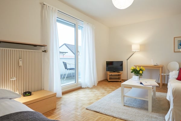 Sunny 2-room attic apartment near Spalentor 1