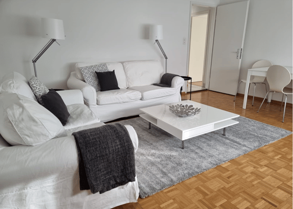 Light 1-room flat near Schützenmatt Park 1