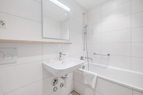 Light 1-room flat near Schützenmatt Park 7