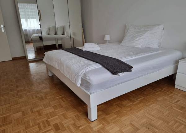 Light 1-room flat near Schützenmatt Park 6