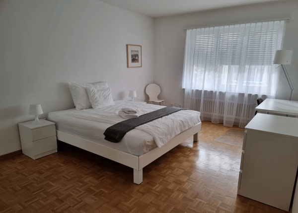 Light 1-room flat near Schützenmatt Park 5