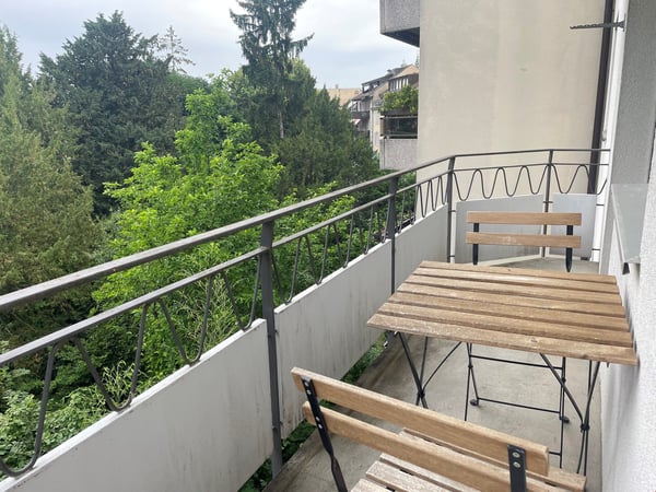 Lovely two room near Spalentor 1