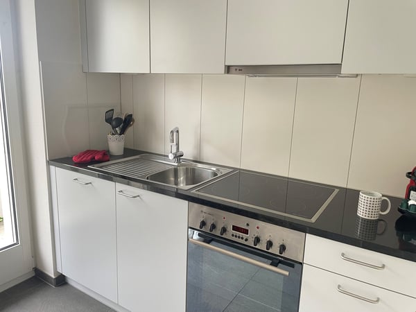 Lovely two room near Spalentor 8