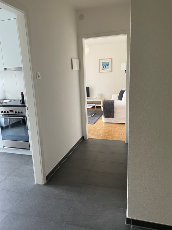 Lovely two room near Spalentor 4