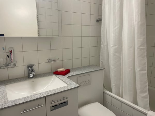 Lovely two room near Spalentor 7