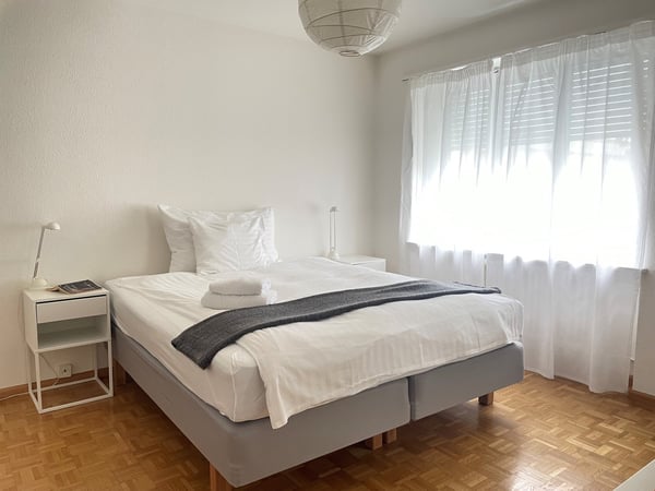 Lovely two room near Spalentor 6