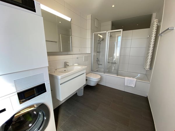 Top floor two bedroom apartment near Schüztenmatt Park 7