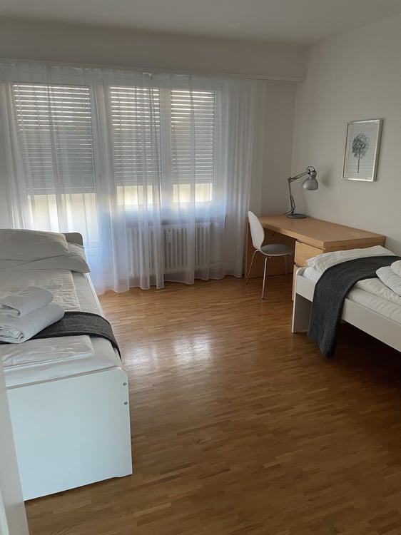 Top floor two bedroom apartment near Schüztenmatt Park 6