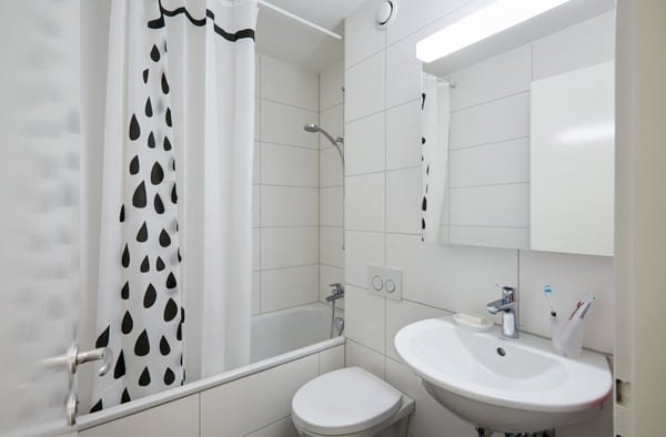 Light spacious flat near Spalentor 6