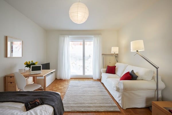 Light spacious flat near Spalentor 1