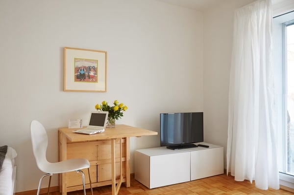 Light spacious flat near Spalentor 3