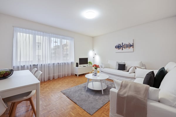 Light 2-room flat near Schützenmatt Park 44