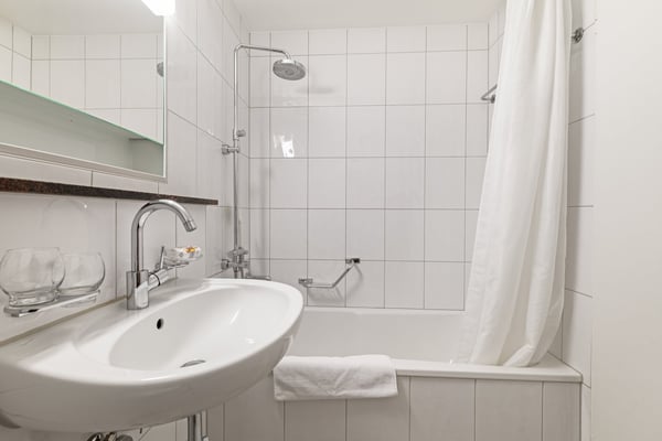 Light 2-room flat near Schützenmatt Park 24