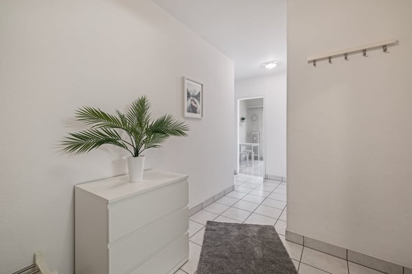 Light 2-room flat near Schützenmatt Park 29