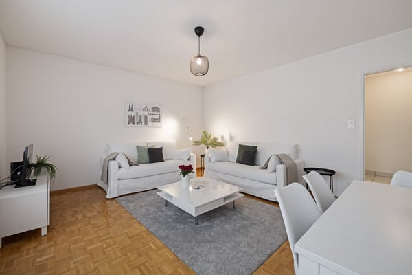 Light 2-room flat near Schützenmatt Park 34