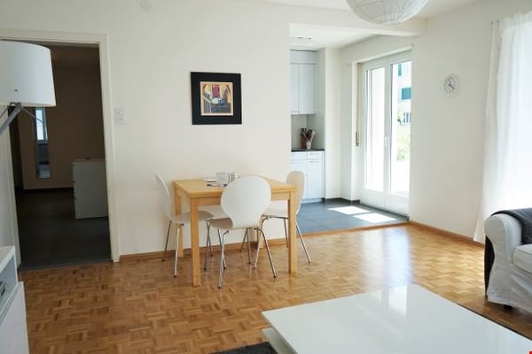 Spacious three Room near Spalentor 3
