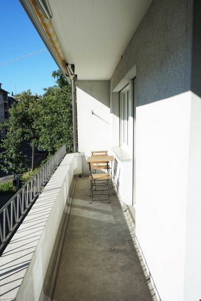 Spacious three Room near Spalentor 6