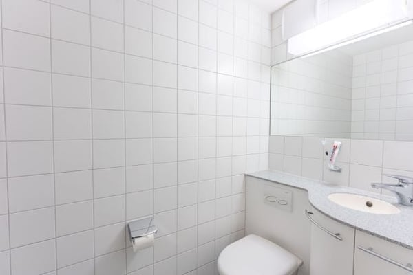 Spacious three Room near Spalentor 23
