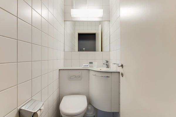 Spacious three Room near Spalentor 10